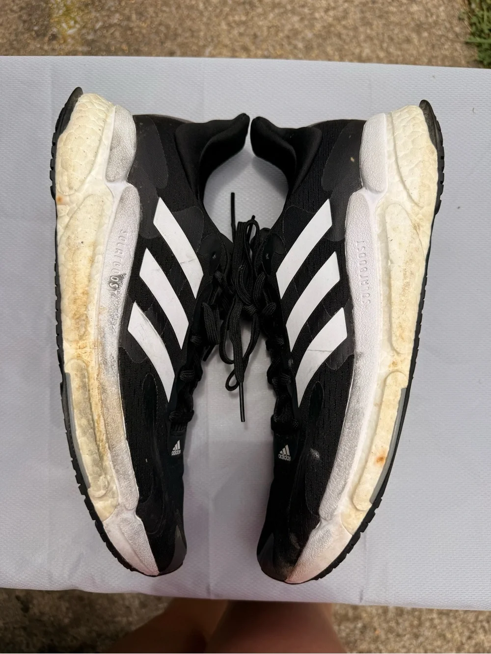 adidas classic sneakers